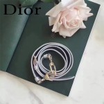 DIOR-0017 秋冬專櫃櫥窗款Lilybag銀色原版皮全拉鏈手提單肩包