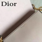 DIOR-009-4 歐美流行新款JADIOR字母金屬粉色原版牛皮手拎包手拿包