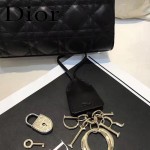 DIOR-0017-5 秋冬專櫃櫥窗款Lilybag黑色原版皮全拉鏈手提單肩包
