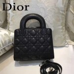 DIOR-0017-5 秋冬專櫃櫥窗款Lilybag黑色原版皮全拉鏈手提單肩包