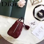 DIOR-0017-3 秋冬專櫃櫥窗款Lilybag棗紅拼黑色原版皮全拉鏈手提單肩包
