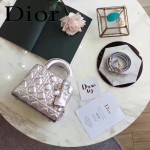 DIOR-0017 秋冬專櫃櫥窗款Lilybag銀色原版皮全拉鏈手提單肩包