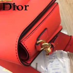 DIOR-0016-3 專櫃海報款復古字母五金紅色原版牛皮單肩斜挎包