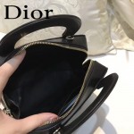 DIOR-0017-5 秋冬專櫃櫥窗款Lilybag黑色原版皮全拉鏈手提單肩包
