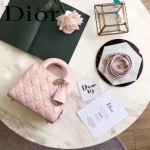 DIOR-0017-2 秋冬專櫃櫥窗款Lilybag粉色原版皮全拉鏈手提單肩包
