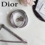 DIOR-0012-3 高級定制Cannage三格藤格紋銀色原版瓷磚效果鹿皮手提單肩包