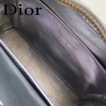 DIOR-0017 秋冬專櫃櫥窗款Lilybag銀色原版皮全拉鏈手提單肩包