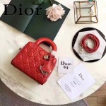 DIOR-0017-4 秋冬專櫃櫥窗款Lilybag紅色原版皮全拉鏈手提單肩包