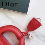 DIOR-0017-4 秋冬專櫃櫥窗款Lilybag紅色原版皮全拉鏈手提單肩包
