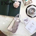 DIOR-0017 秋冬專櫃櫥窗款Lilybag銀色原版皮全拉鏈手提單肩包