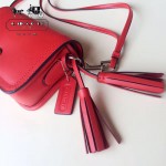 COACH-19914-2 頭層牛皮經典女士迷你斜挎包