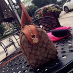 COACH-36187-4 大號PVC配牛皮最新枕頭包女士手提單肩斜挎包