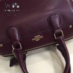 COACH-36624-2 時尚潮流新款波斯頓拼色枕頭包女士手提單肩斜挎包