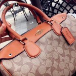 COACH-36187-4 大號PVC配牛皮最新枕頭包女士手提單肩斜挎包