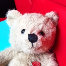 Happy  Valentine s Day蒂芙尼新品 可愛的泰迪熊