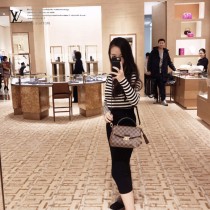 N53000 原版皮CROISETTE 手袋