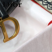 Dior-021   迪奧新款原版皮大號馬鞍包