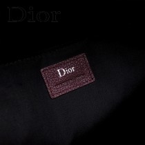 Dior-028-02   迪奧新款原版皮雙肩包
