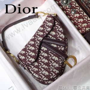 Dior-031-01   迪奧新款原版皮馬鞍包