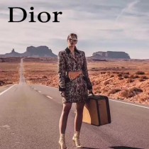 Dior-033-04   迪奧新款原版皮復古馬鞍包 腰包