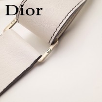 Dior-033-05   迪奧新款原版皮復古馬鞍包 腰包