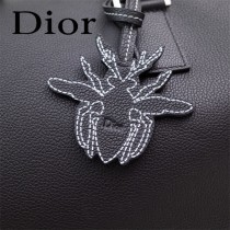 Dior-029   迪奧新款原版皮旅行袋
