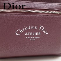 Dior-028-02   迪奧新款原版皮雙肩包