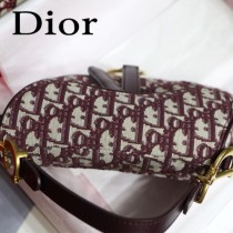 Dior-031-01   迪奧新款原版皮馬鞍包