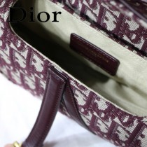 Dior-031-01   迪奧新款原版皮馬鞍包