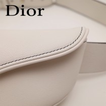Dior-033-05   迪奧新款原版皮復古馬鞍包 腰包