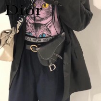 Dior-033-02   迪奧新款原版皮復古馬鞍包 腰包