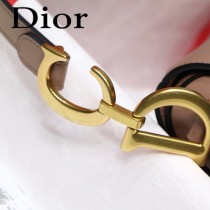 Dior-021-02   迪奧新款原版皮大號馬鞍包