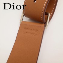 Dior-033-04   迪奧新款原版皮復古馬鞍包 腰包