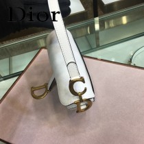Dior-024-01   迪奧新款原版皮Saddle粒面小牛皮手提包 馬鞍包