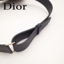 Dior-033-03   迪奧新款原版皮復古馬鞍包 腰包
