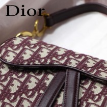 Dior-031-01   迪奧新款原版皮馬鞍包