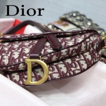 Dior-031-01   迪奧新款原版皮馬鞍包