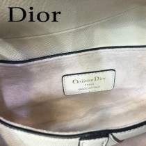 Dior-024-01   迪奧新款原版皮Saddle粒面小牛皮手提包 馬鞍包