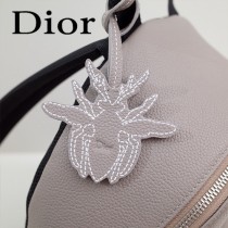 Dior-028-01   迪奧新款原版皮雙肩包