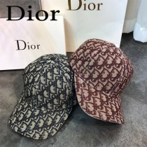 迪奧Dior2019早春系列，最滿印花迪奧，獨特拼接超好看
