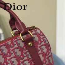 M5810A-2  DIOR  迪奧原版皮刺繡枕頭包