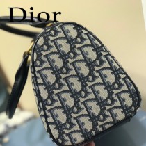 M5810A  DIOR  迪奧原版皮刺繡枕頭包