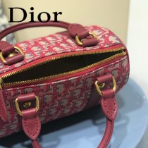 M5810A-2  DIOR  迪奧原版皮刺繡枕頭包