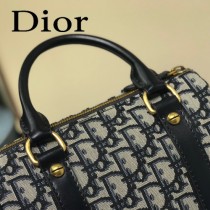 M5810A  DIOR  迪奧原版皮刺繡枕頭包