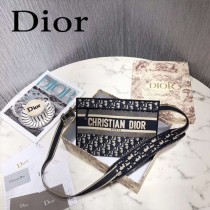 Dior Oblique刺绣帆布手拿包