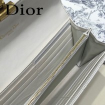 DIOR迪奧S2008-01 新款原版皮錢夾