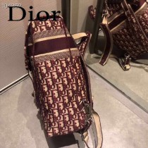 DIOR迪奧原版皮  新款Oblique刺繡老花帆布背包-02