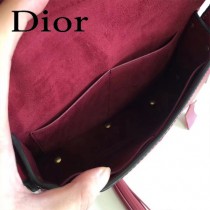 DIOR迪奧  原單小牛皮翻蓋式手提包-01