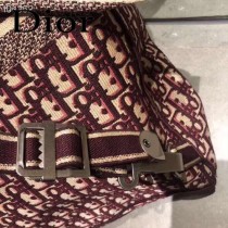 DIOR迪奧原版皮  新款Oblique刺繡老花帆布背包-02