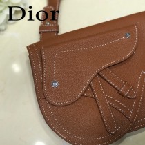 DIOR迪奧原版皮 春夏新款挎包-01
